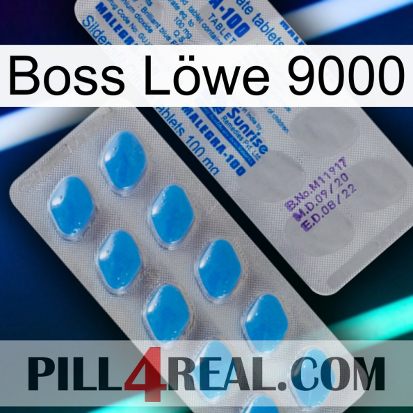 Boss Löwe 9000 new15.jpg